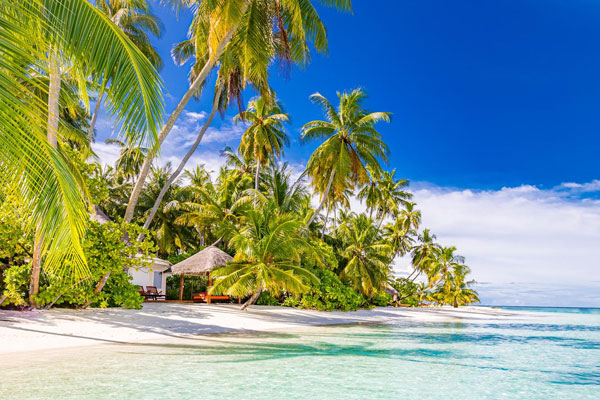 Bahamas tropical beach